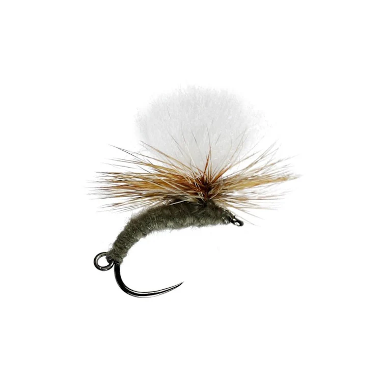 Adams Klink and Dink