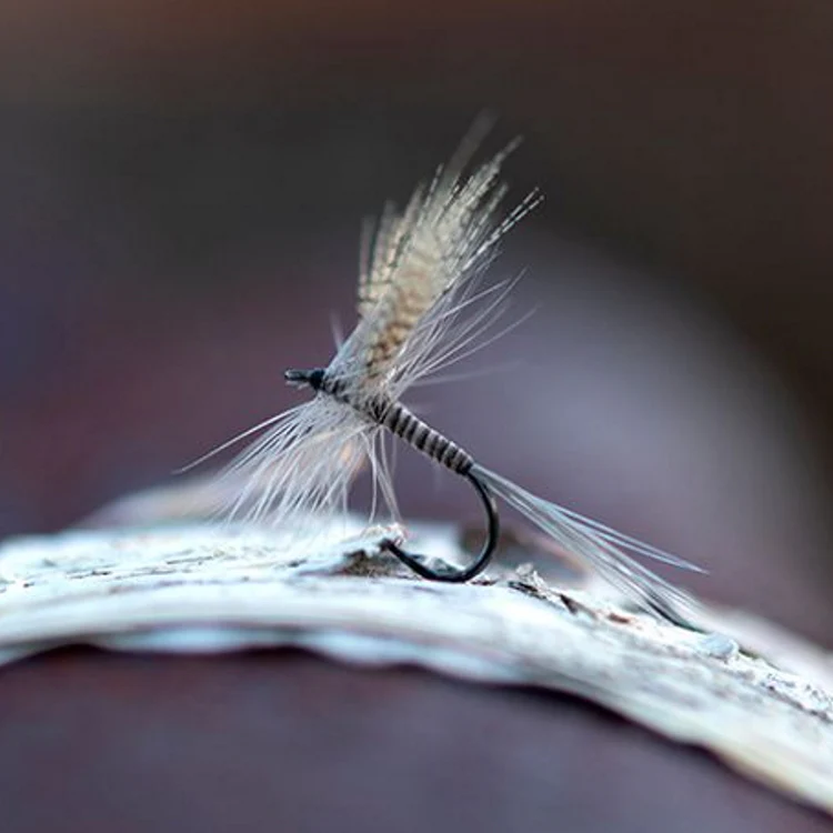 Ahrex FW502 Dry Fly Light Barbed Hooks - Image 5