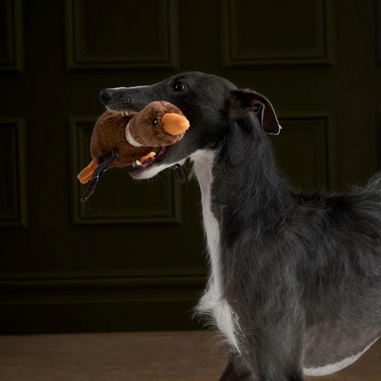 Barbour Dog Flying Duck Toy - Brown - Image 5