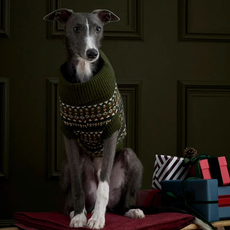 Barbour Marlow Fairisle Dog Jumper - Olive - Image 5