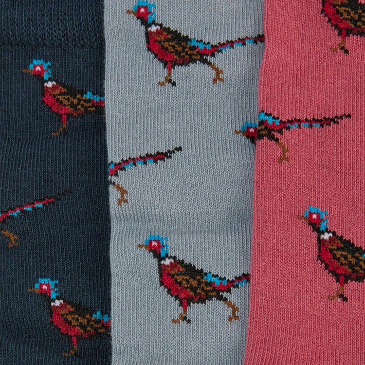 Barbour Pheasant Socks Gift Box - Earth Pink Mix - Image 4