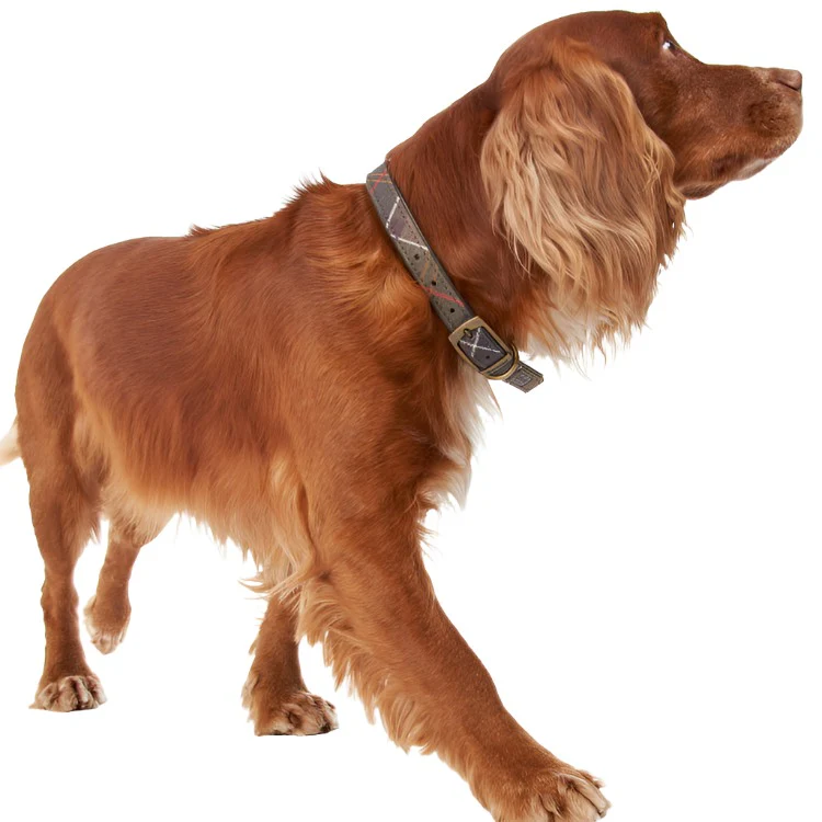 Barbour Tartan Dog Collar - Image 3