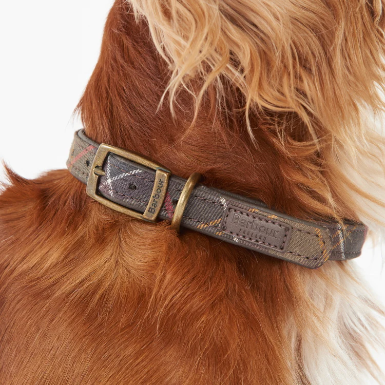 Barbour Tartan Dog Collar - Image 4