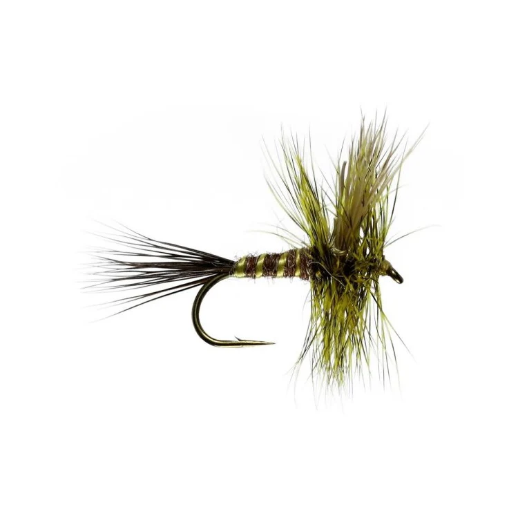 Brown Drake Mayfly