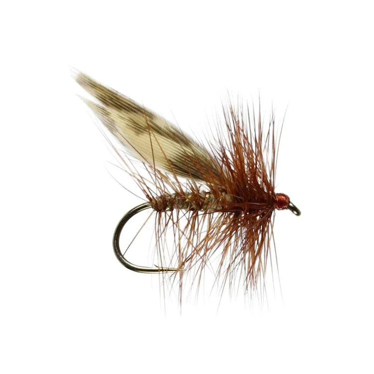 Brown Flag Sedge Flies