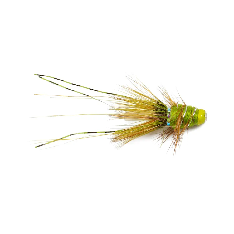 Caledonia Olive Francis Copper Tube Fly