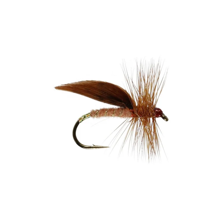 Cinnamon Sedge Flies