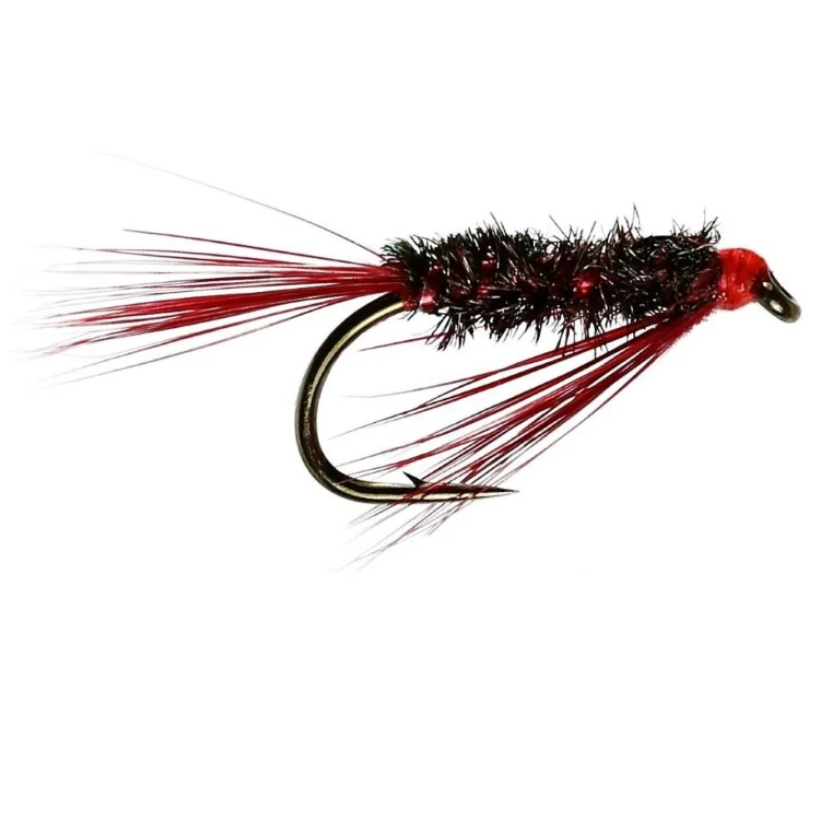 Red Head Diawl Bach