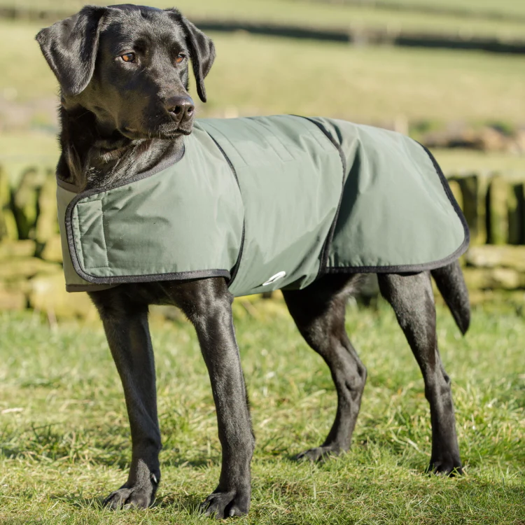Dog and Field 2-in-1 Waterproof Drying Dog Coat - Image 2