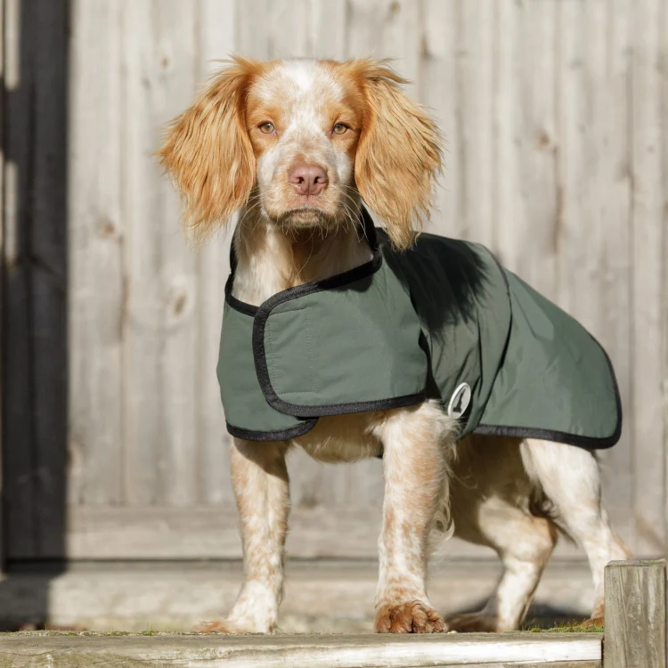 Dog and Field 2-in-1 Waterproof Drying Dog Coat - Image 4