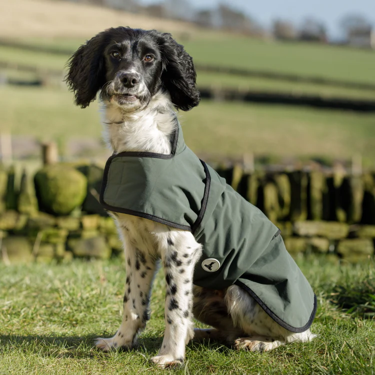 Dog and Field 2-in-1 Waterproof Drying Dog Coat - Image 5