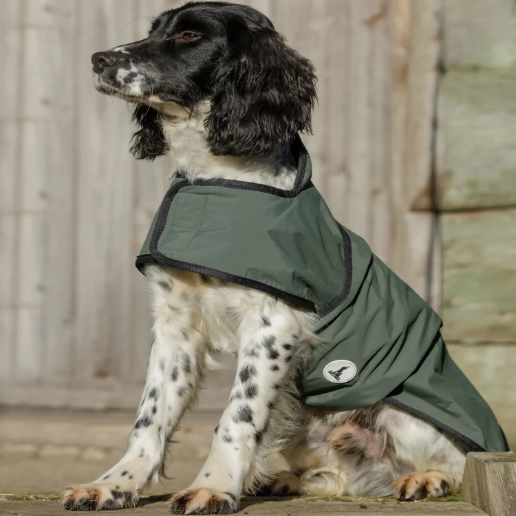 Dog and Field 2-in-1 Waterproof Drying Dog Coat - Image 6