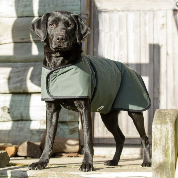 Dog and Field 2-in-1 Waterproof Drying Dog Coat - Image 7