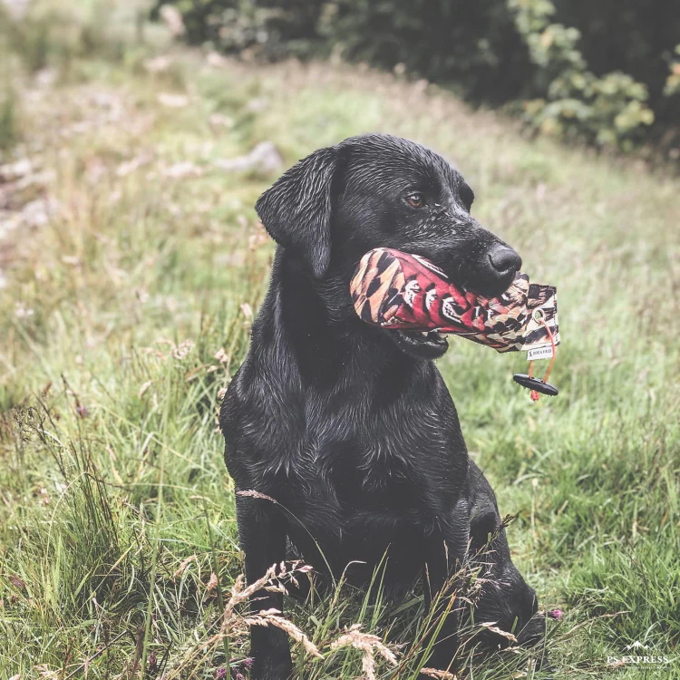 Dog and Field Original Clone Pheasant Dummy - 1lb - Image 4