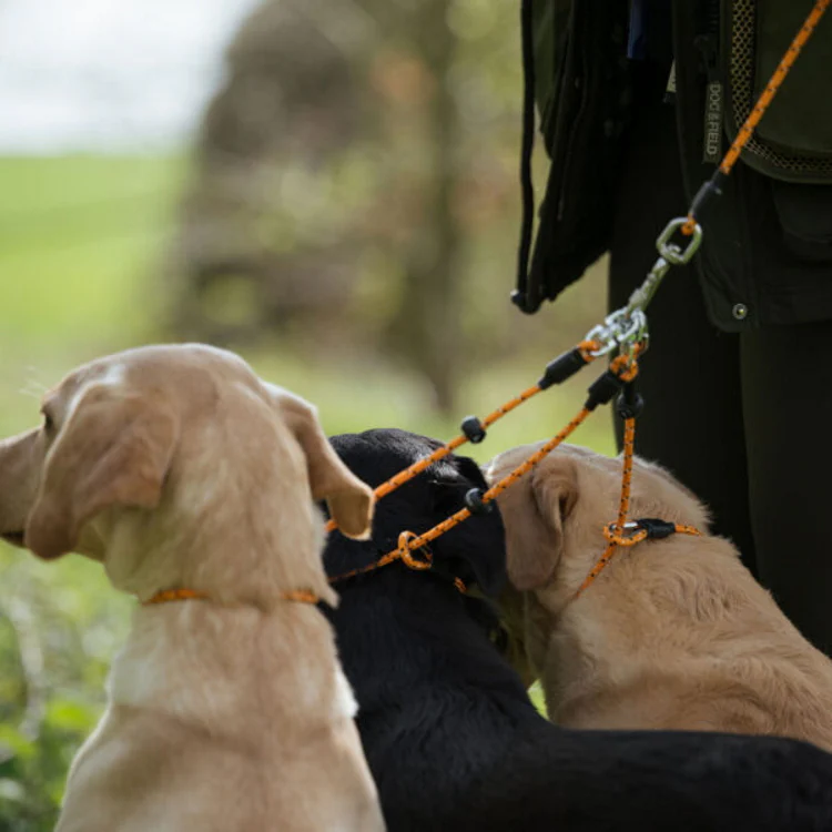 Dog and Field Pro Trialler Multi Dog Slip Lead - Image 3