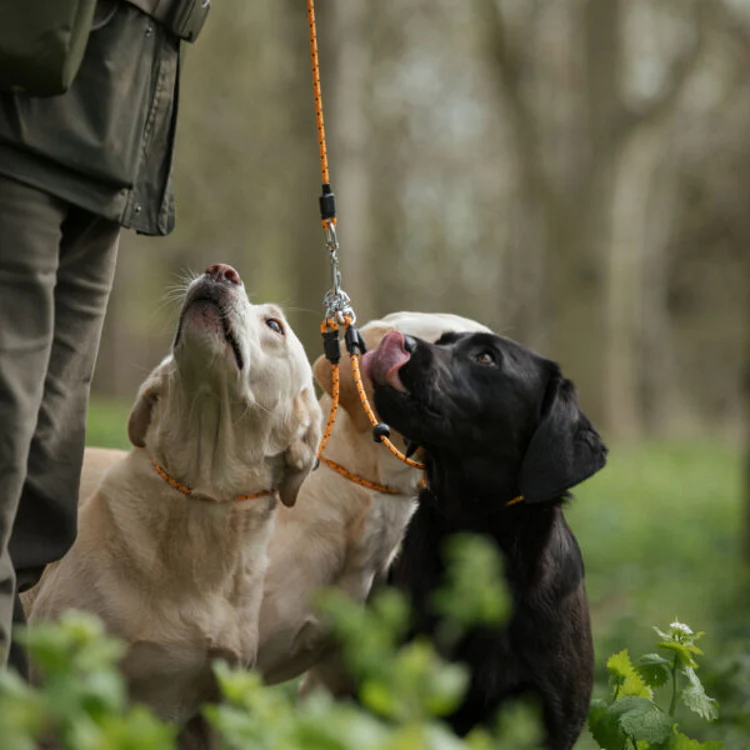 Dog and Field Pro Trialler Multi Dog Slip Lead - Image 4