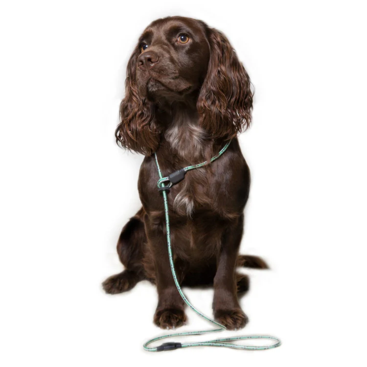 Dog and Field Pro Trialler Slip Lead