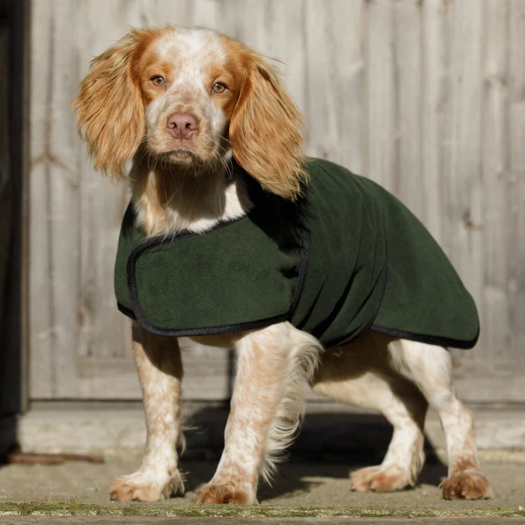 Dog and Field Towelling Dog Coat - Image 2