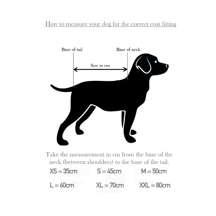 Dog and Field Towelling Dog Coat - Image 3