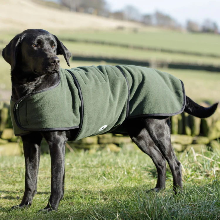 Dog and Field Towelling Dog Coat - Image 4