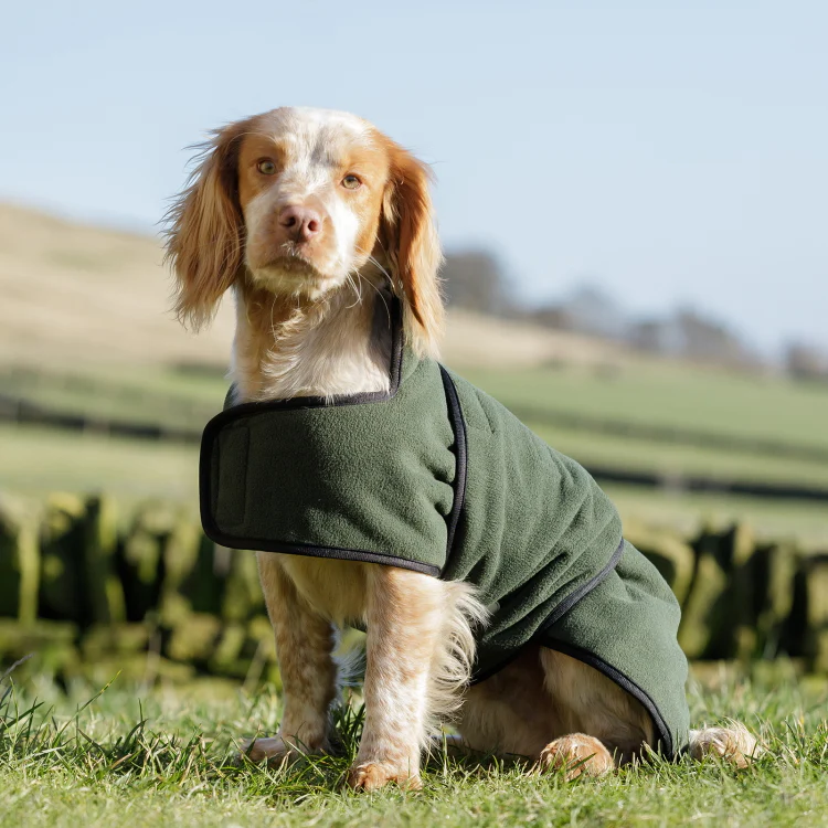 Dog and Field Towelling Dog Coat - Image 5