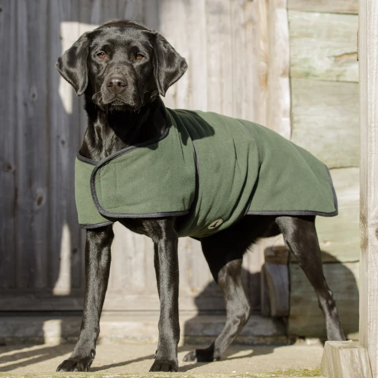 Dog and Field Towelling Dog Coat - Image 7
