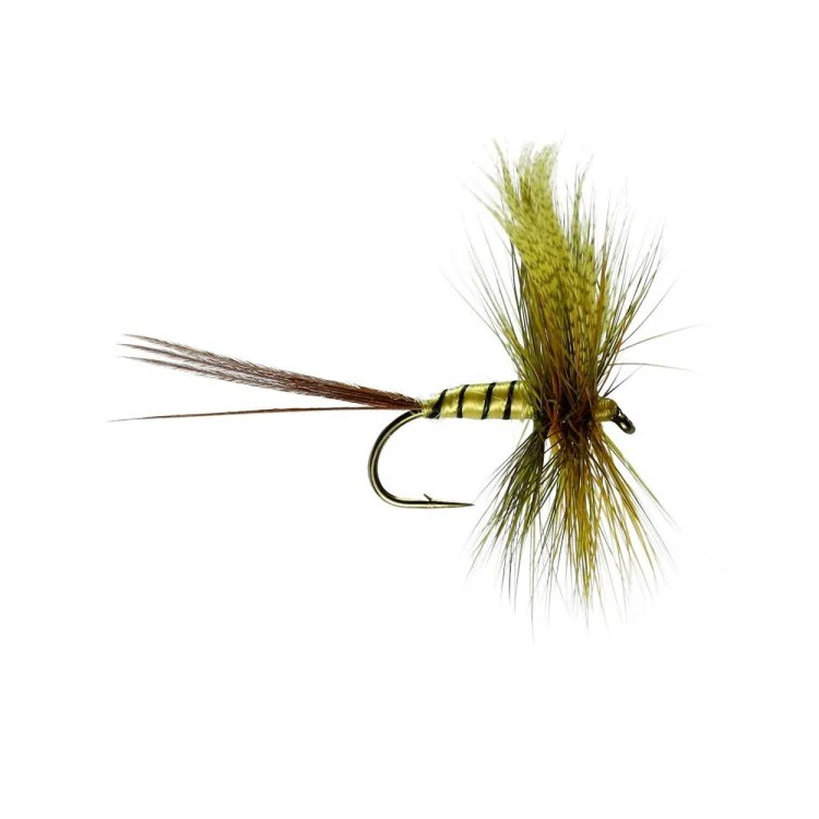 Erne Special Mayfly