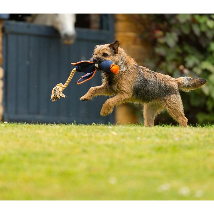 House of Paws Duck Canvas Thrower Dog Toy - Navy - Image 2