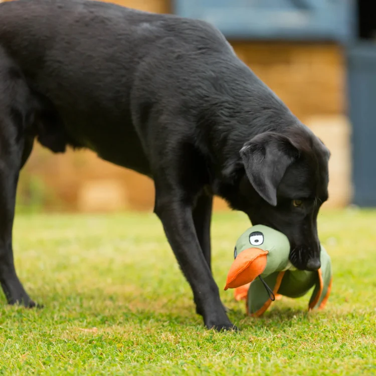 House of Paws Duck Canvas Thrower Dog Toy - Khaki - Image 2
