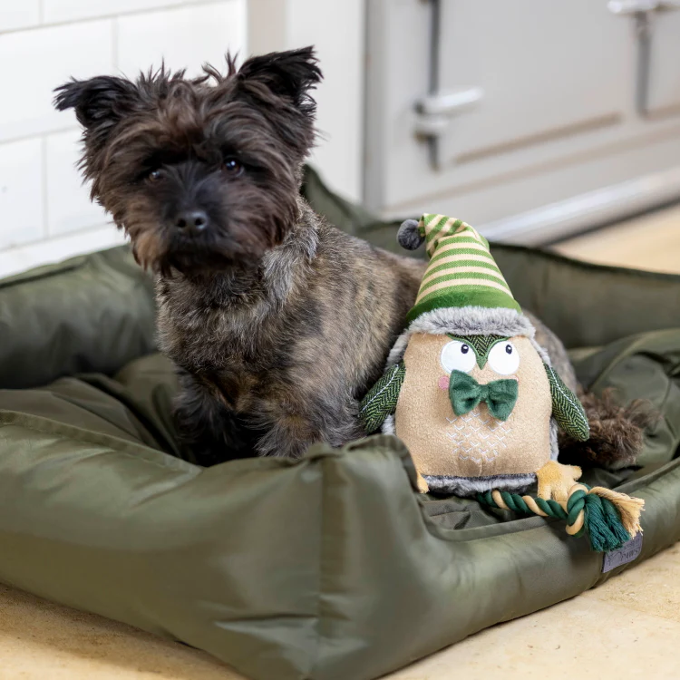 House of Paws Forest Green Owl Dog Toy - Image 2