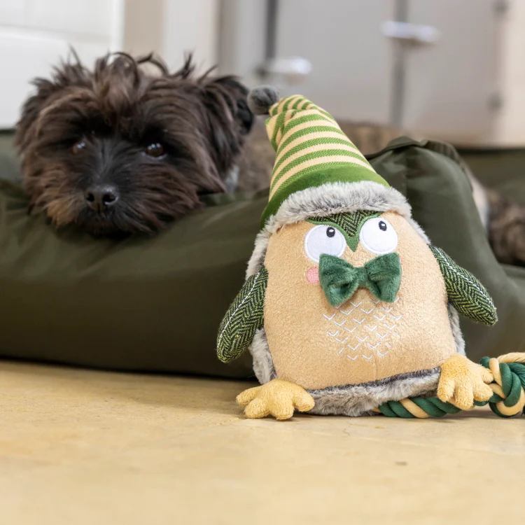 House of Paws Forest Green Owl Dog Toy - Image 3
