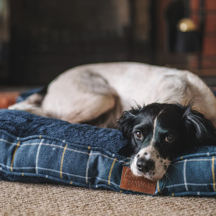 House of Paws Tweed Boxed Dog Duvet - Navy Check - Image 3