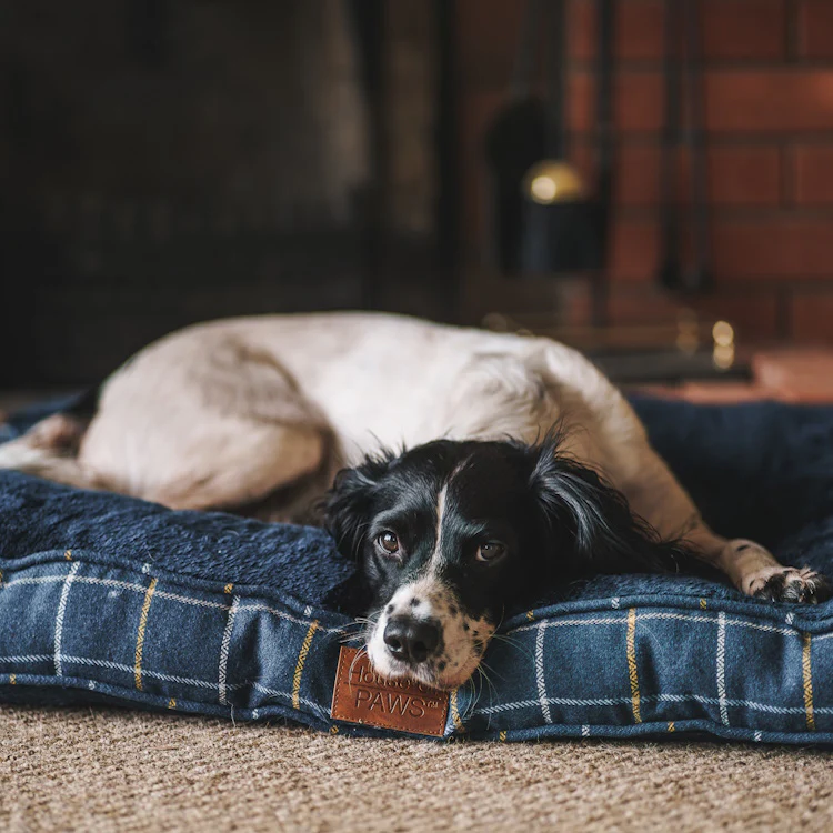 House of Paws Tweed Boxed Dog Duvet - Navy Check - Image 4