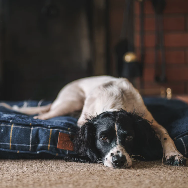 House of Paws Tweed Boxed Dog Duvet - Navy Check - Image 5