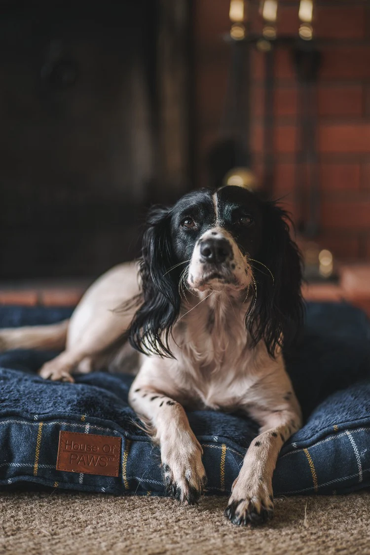House of Paws Tweed Boxed Dog Duvet - Navy Check - Image 8