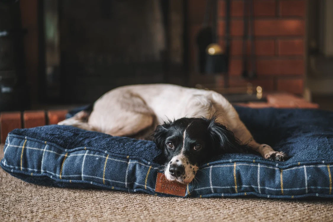House of Paws Tweed Boxed Dog Duvet - Navy Check - Image 9