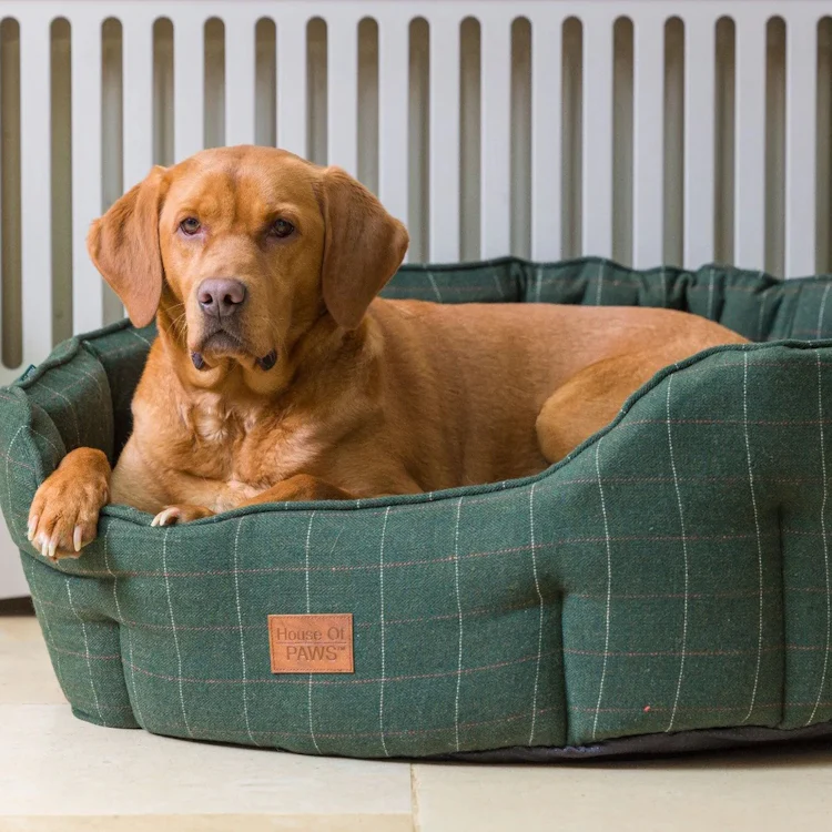 House of Paws Tweed Oval Snuggle Dog Bed - Green - Image 2