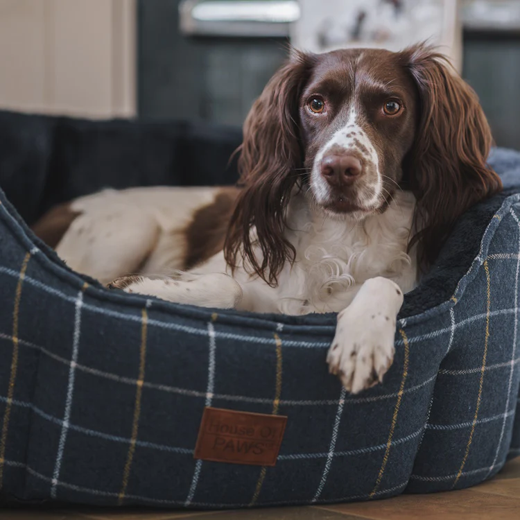 House of Paws Tweed Oval Snuggle Dog Bed - Navy Check - Image 2
