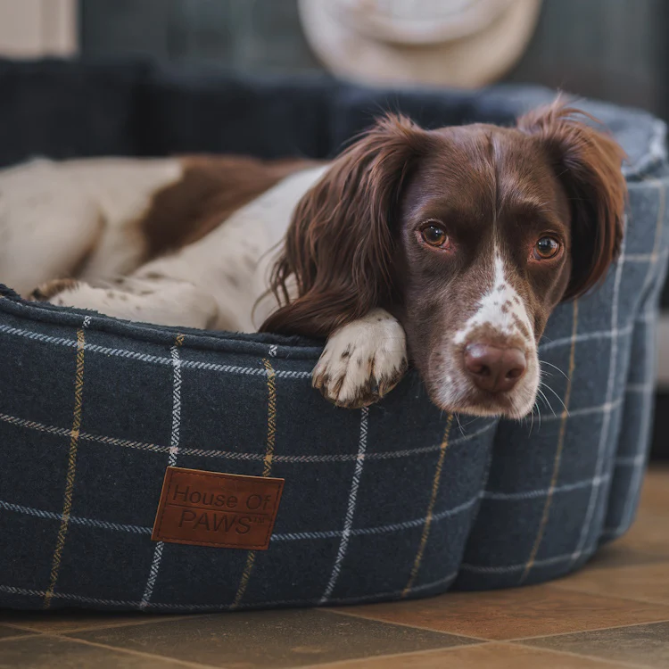 House of Paws Tweed Oval Snuggle Dog Bed - Navy Check - Image 3