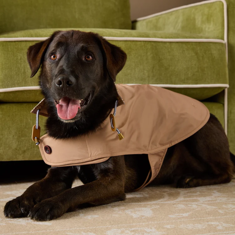 Joules Burra Brown Dog Raincoat - Image 2