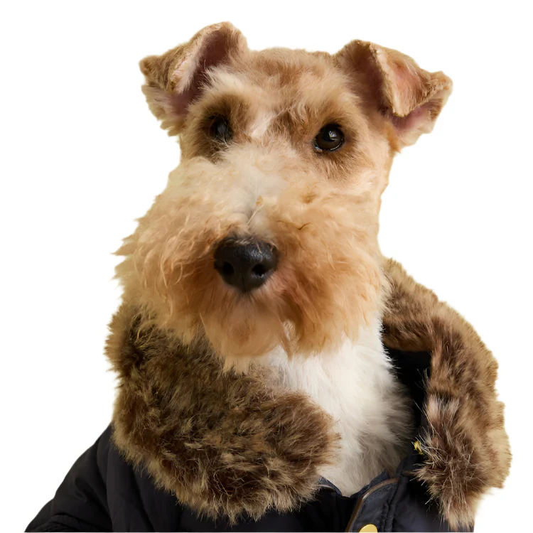 Joules Cherington Dog Coat - Image 3