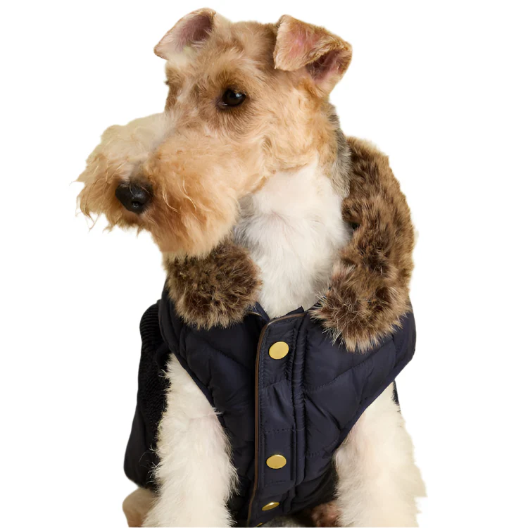 Joules Cherington Dog Coat - Image 5