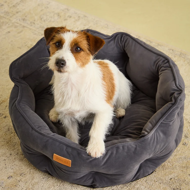 Joules Chesterfield Pet Bed - Grey - Image 5