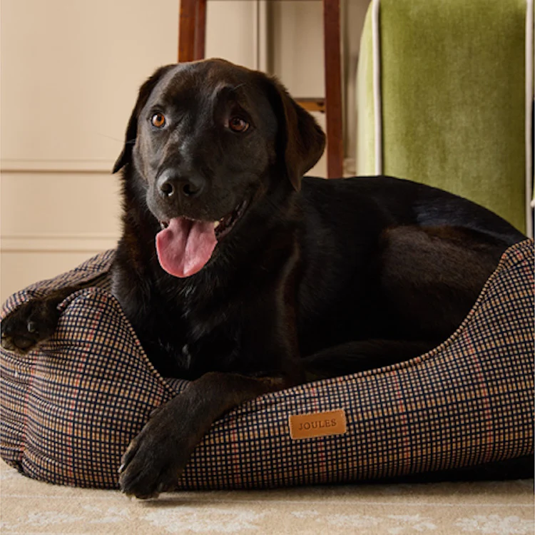 Joules Dog Box Bed - Henson Check - Image 8