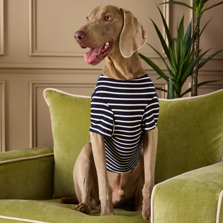 Joules Harbour Dog Top - Navy Stripe - Image 4