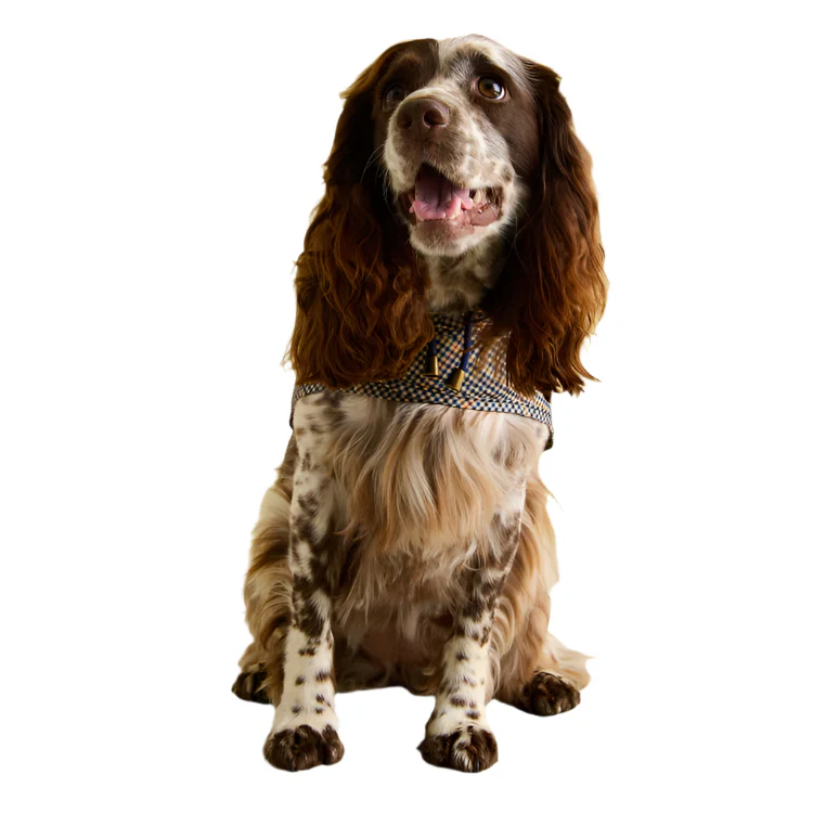 Joules Henson Check Packaway Dog Coat - Image 5