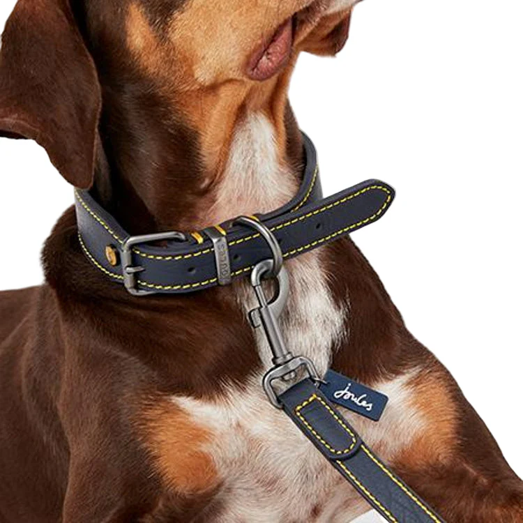 Joules Leather Dog Lead - Navy - Image 6