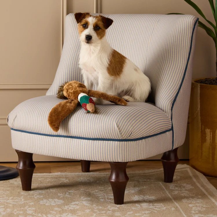 Joules Plush Tweed Pheasant Dog Toy - Image 3