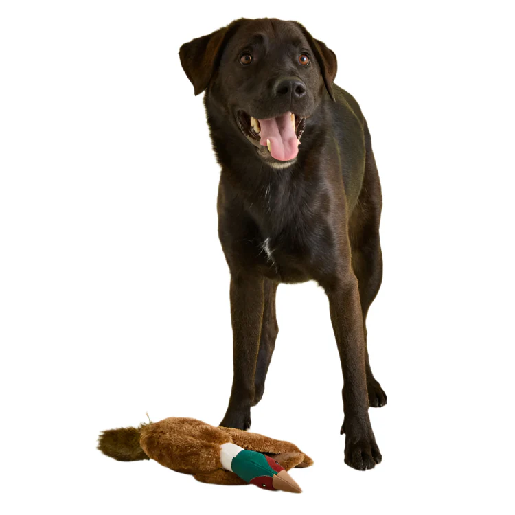 Joules Plush Tweed Pheasant Dog Toy - Image 4