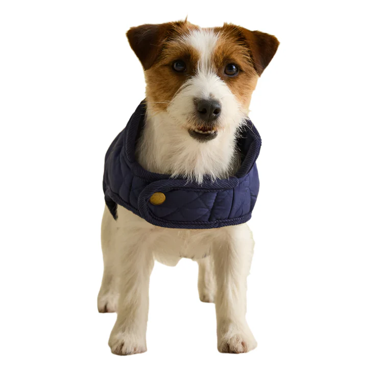 Joules Quilted Dog Coat - Navy - Image 2